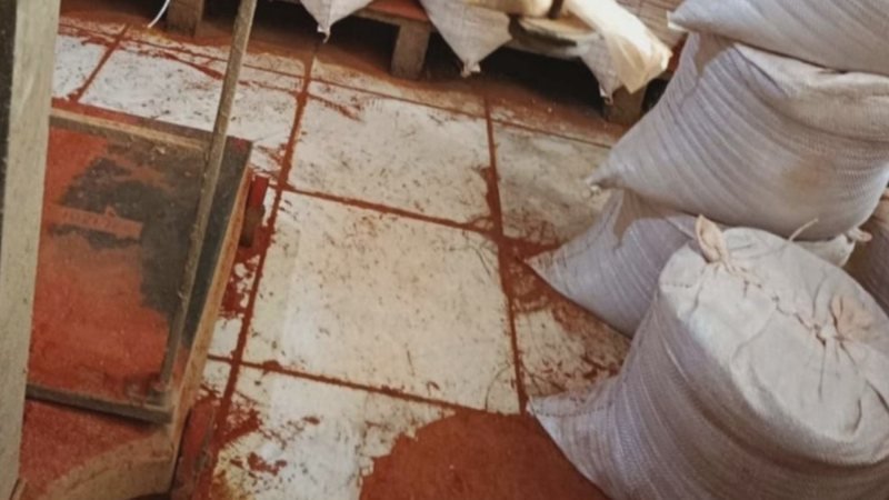 Fezes de ratos são encontradas em fábricas de temperos na Bahia; saiba detalhes