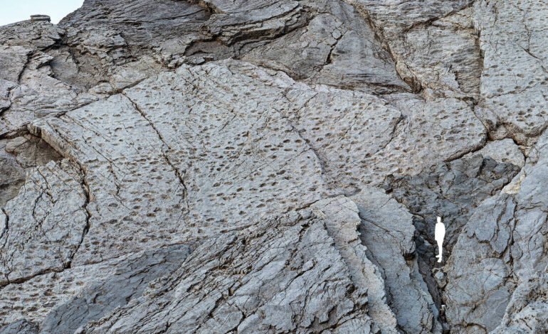 Milhares de pegadas de dinossauros são descobertas em parque na Itália