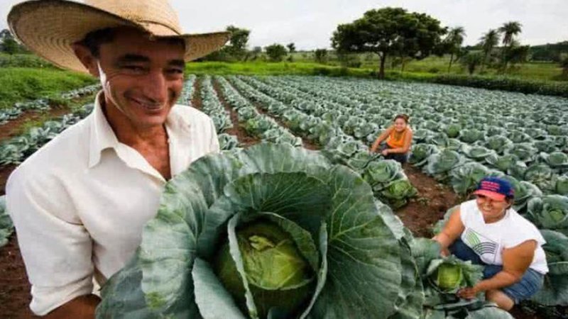 Agronegócio impulsiona economia e atrai novos investidores em 2024