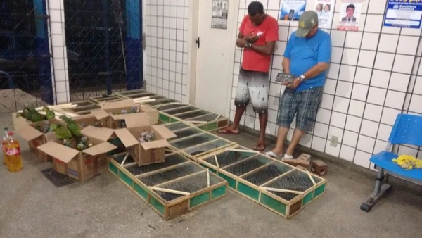 Maior traficante de aves do país é condenado junto a outros seis réus