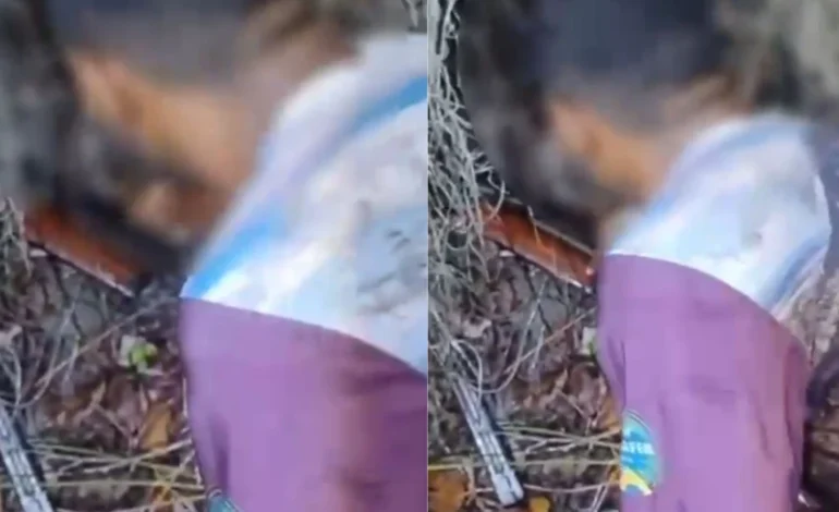 Justiça Federal concede liberdade a indígenas presos em operação no sul da Bahia