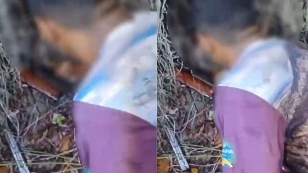 Justiça Federal concede liberdade a indígenas presos em operação no sul da Bahia